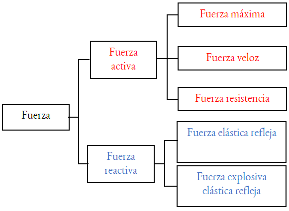 Clasificaci&oacute;n de la capacidad de fuerza